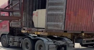 福建 黄金麻荔枝面毛板