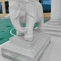福建 白麻花岗岩动物异形石雕-大象