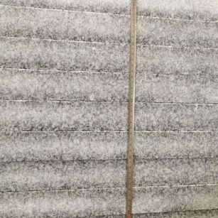 福建 芝麻白火烧成品厚薄均匀，B料价格接近A料质量