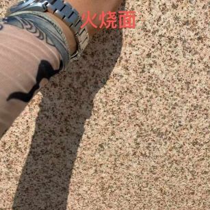 福建黄金麻火烧面