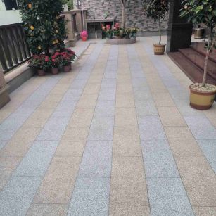 福建 黄金麻白麻荔枝面庭院铺装展示