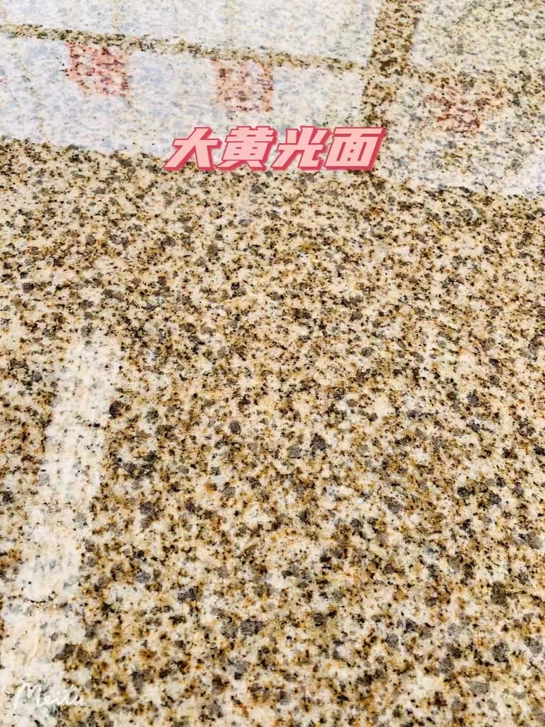 福建黄金麻大黄光面