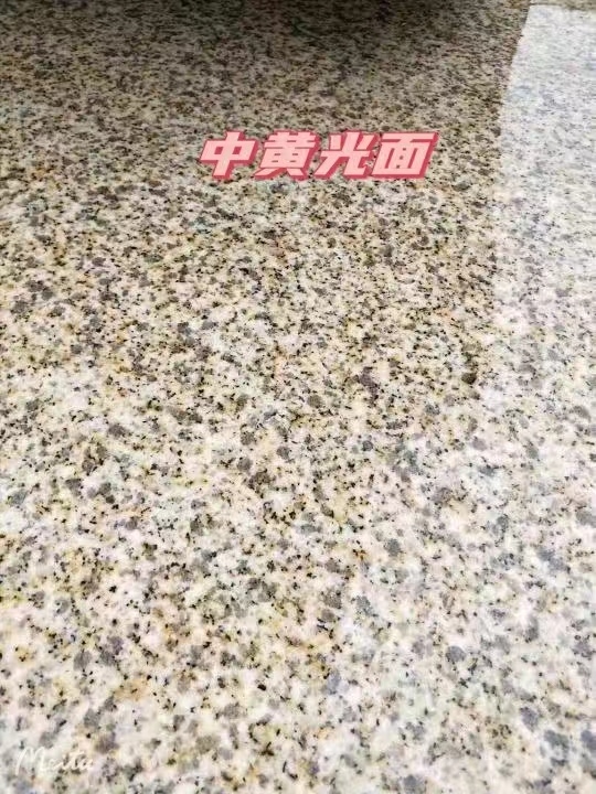 福建黄金麻中黄光面