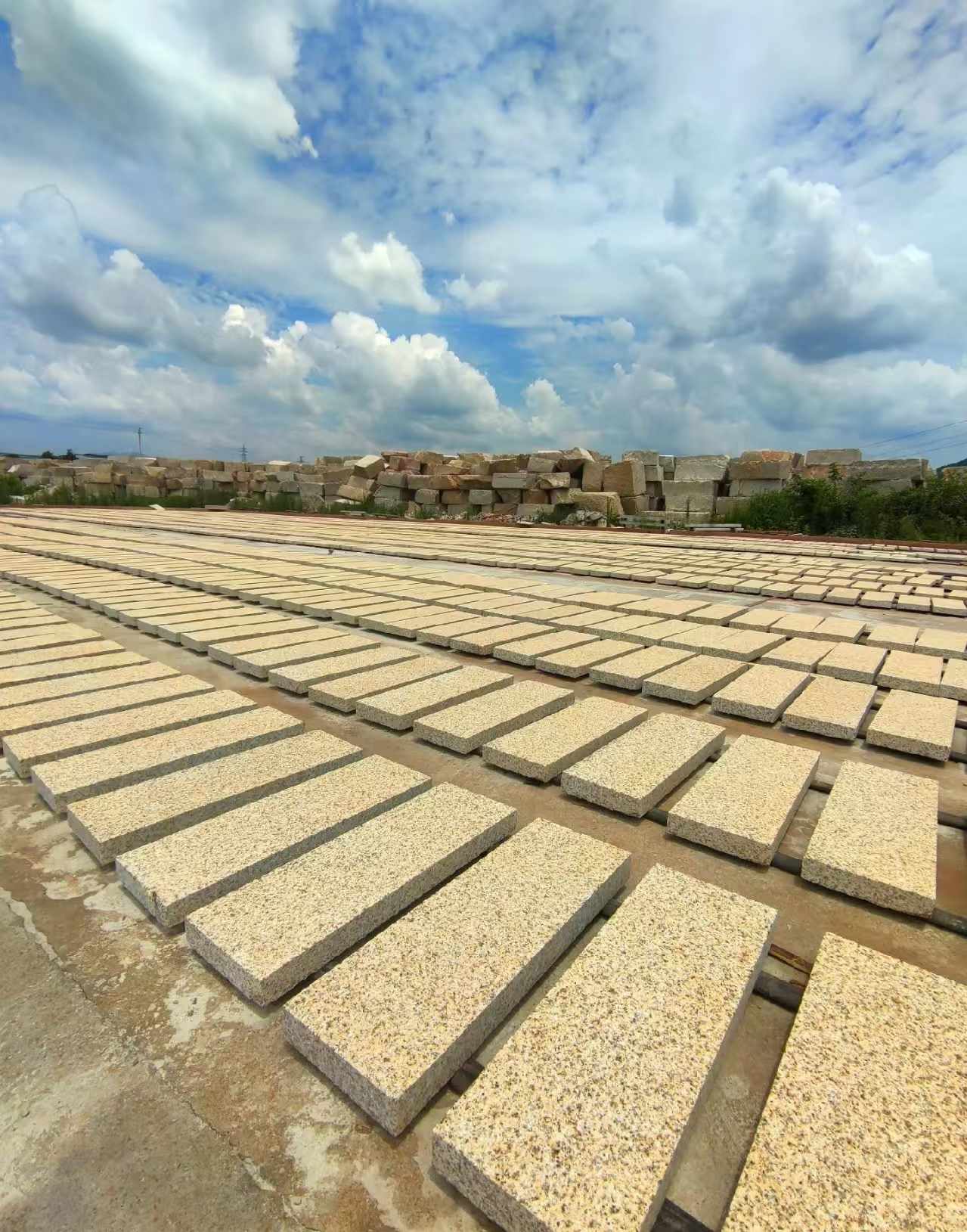福建 黄金麻荔枝面花岗岩石材地铺石防护中
