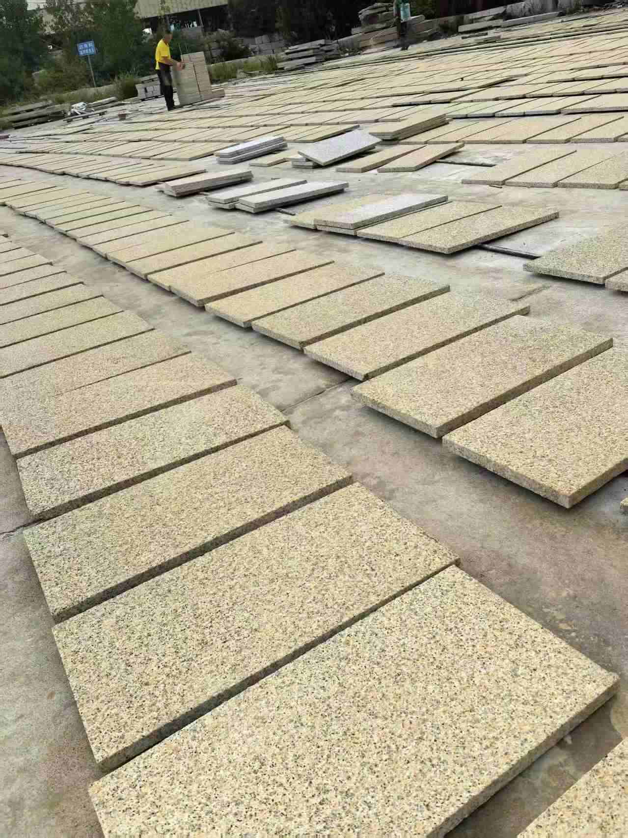 福建 黄金麻荔枝地铺石面排板