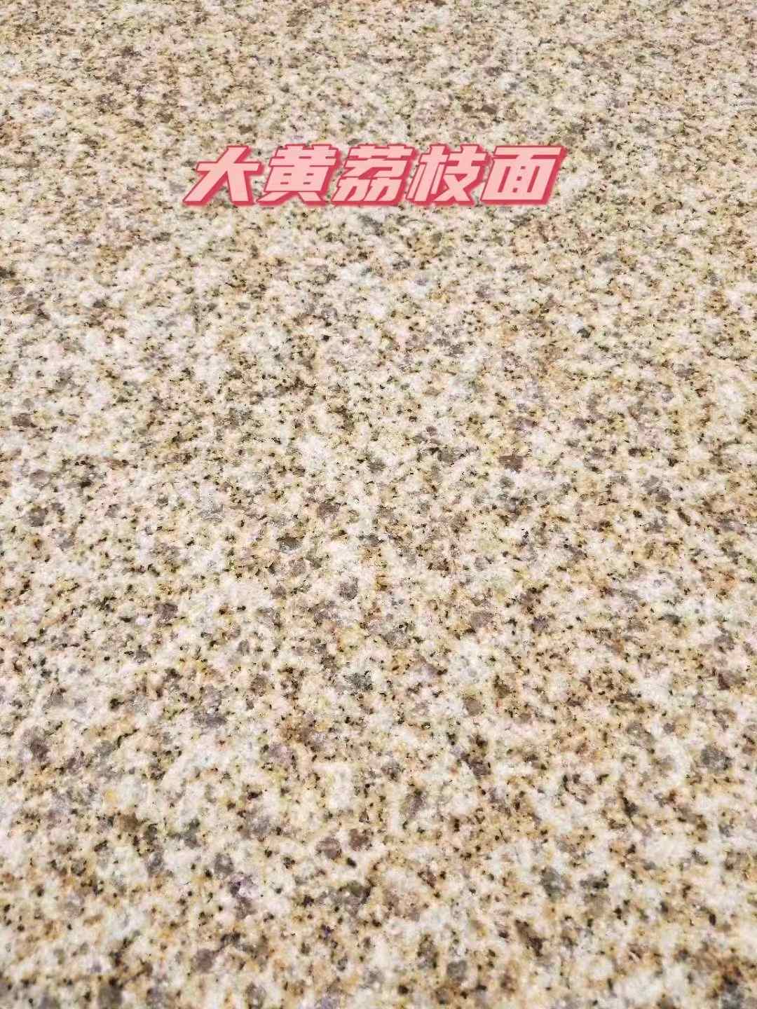 福建黄金麻大黄荔枝面