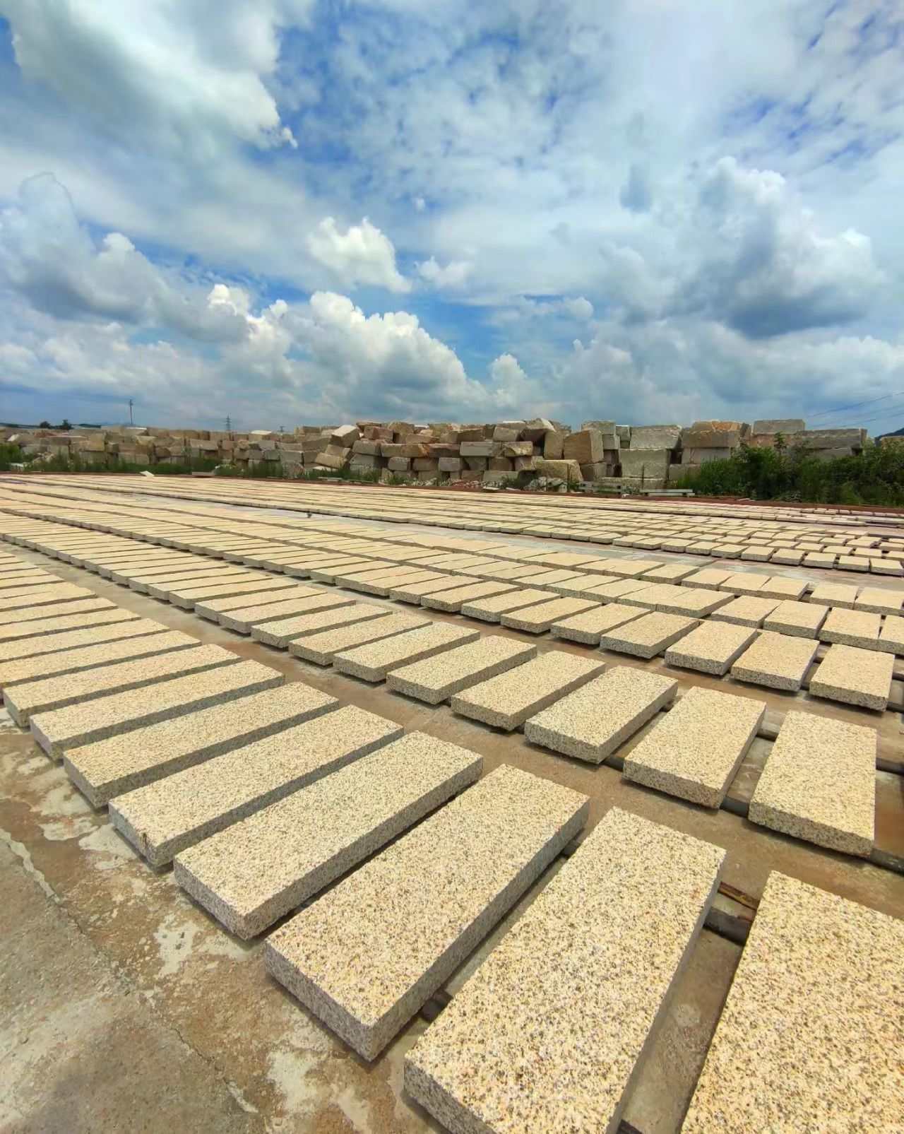 福建 黄金麻花岗岩荔枝面地铺石防护中