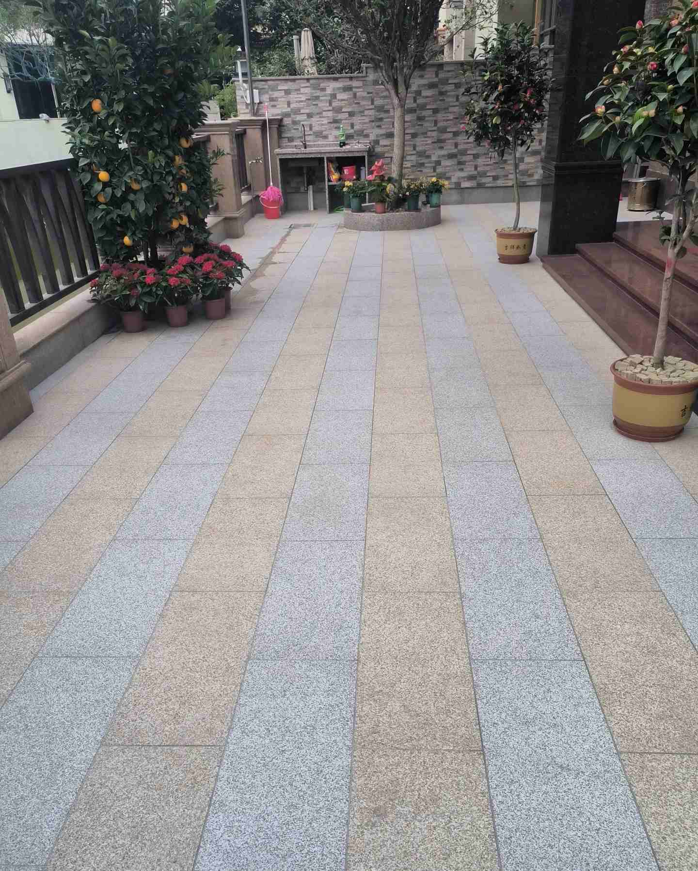 福建 黄金麻白麻荔枝面庭院铺装展示